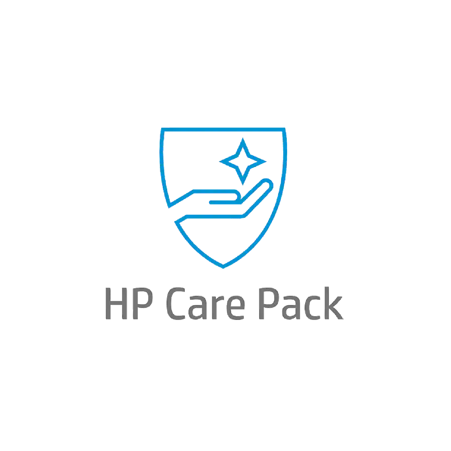 HP 5 Yıllık Garanti Paketi, Sonraki İş Günü Yerinde Destek, Mobil İş İstasyonları İçin U02BSE
